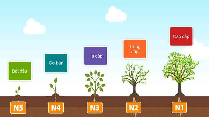 Hình ảnh package